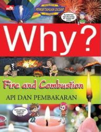 Image of Why?:Api dan Pembakaran