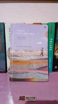 Image of Please Look After Mom